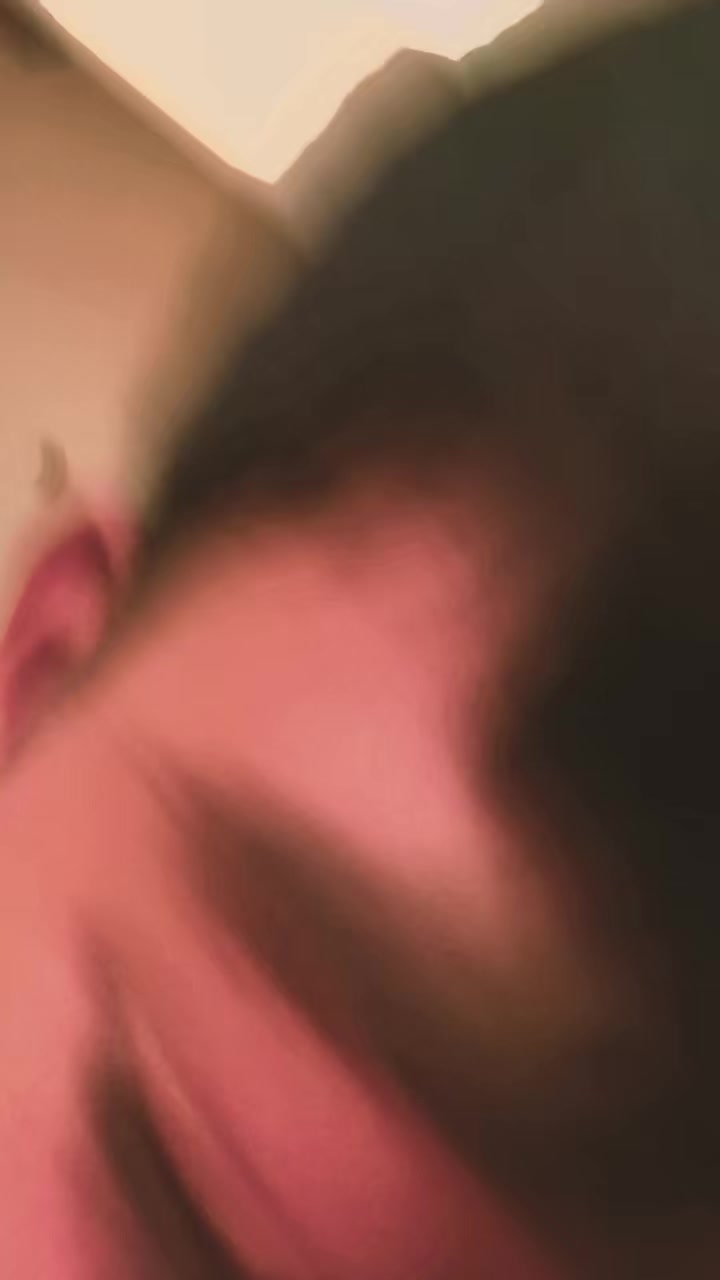 @catliya v2