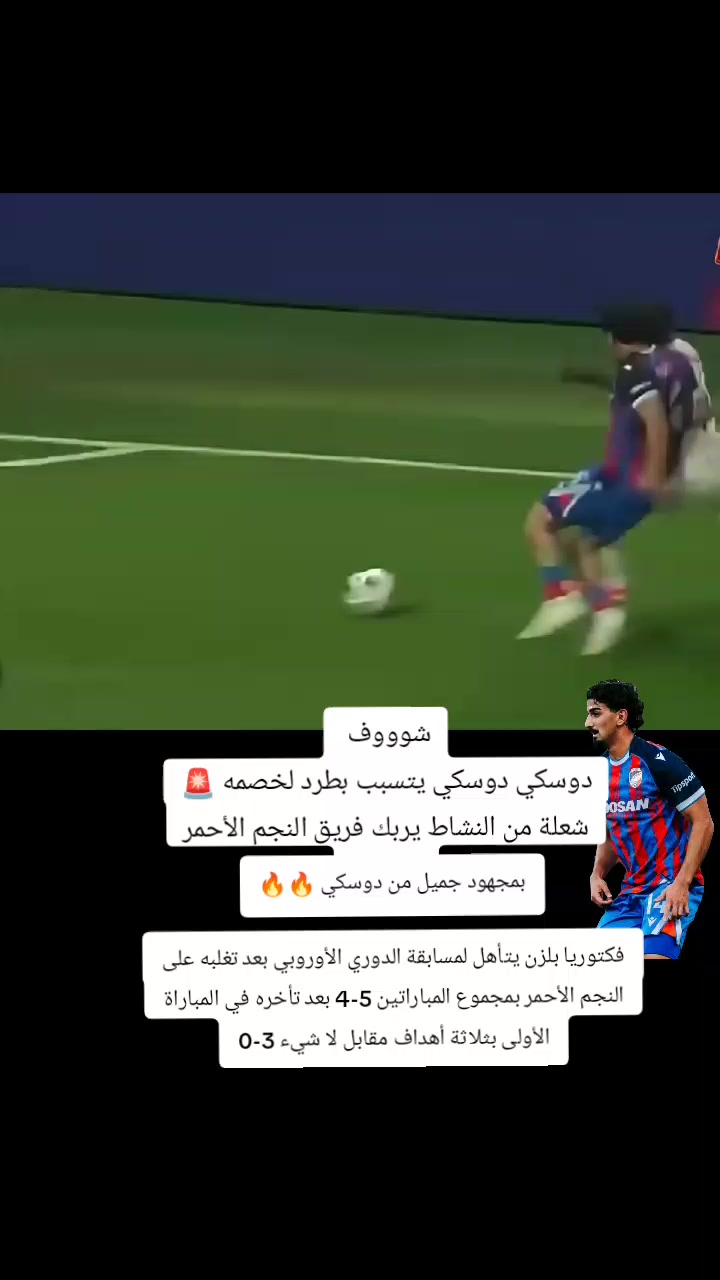 @ملعب البصرة جذع نخلة