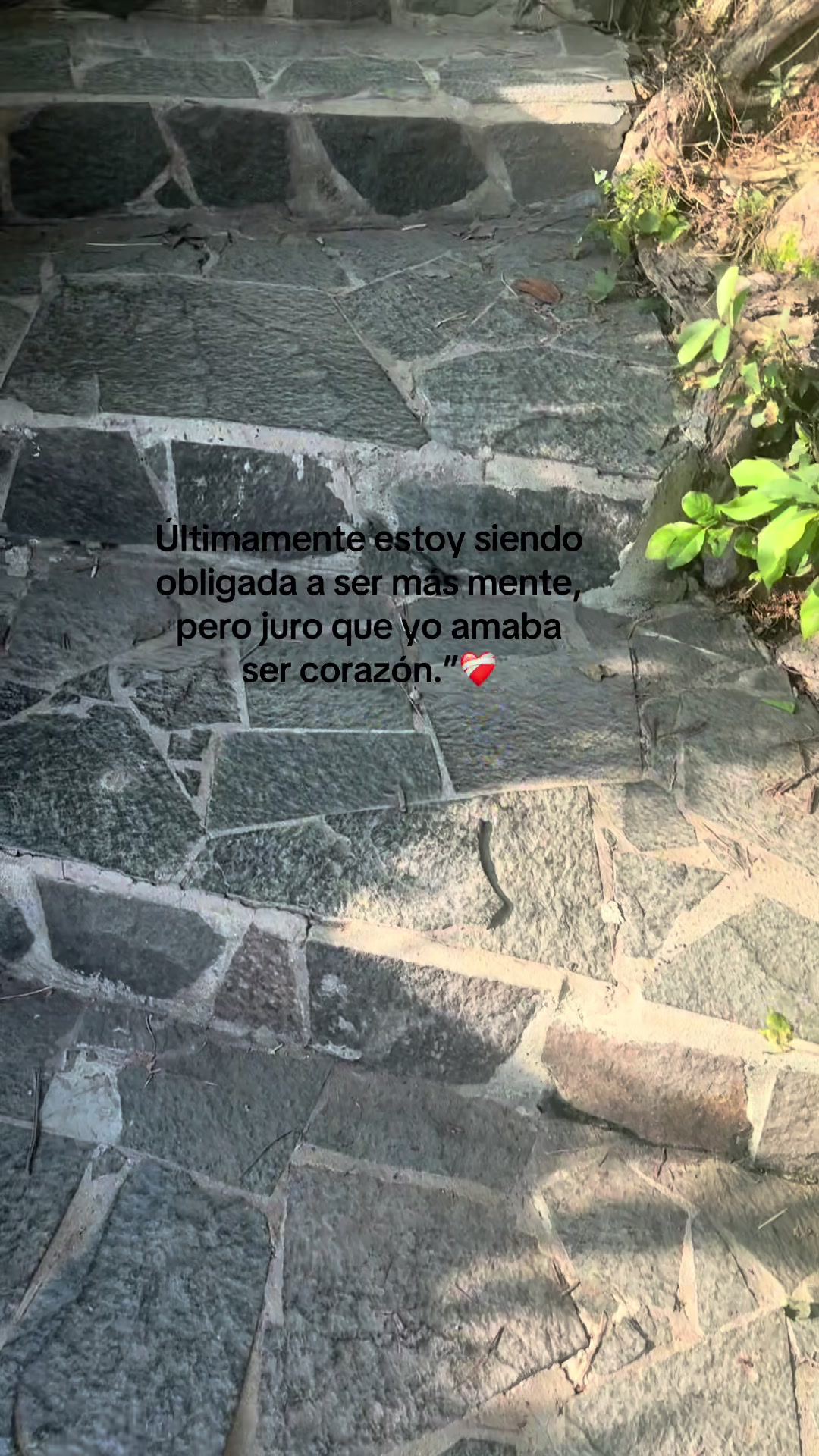 @Natalia Alvarado🦋