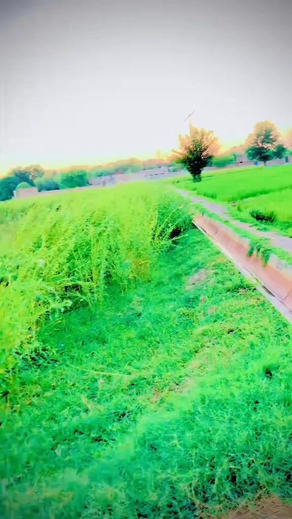 @Shoukat Kalal