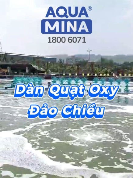 @CÔNG TY TNHH AQUA MINA