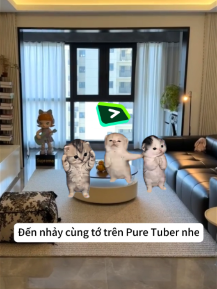 @Pure Tuber Vietnam
