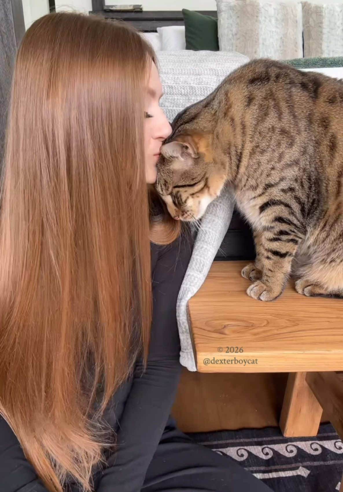 @dexterboycat 🐆♥️