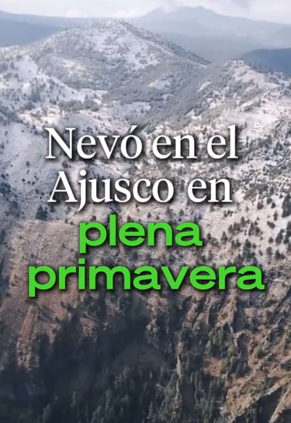 @Ahora Entiendo