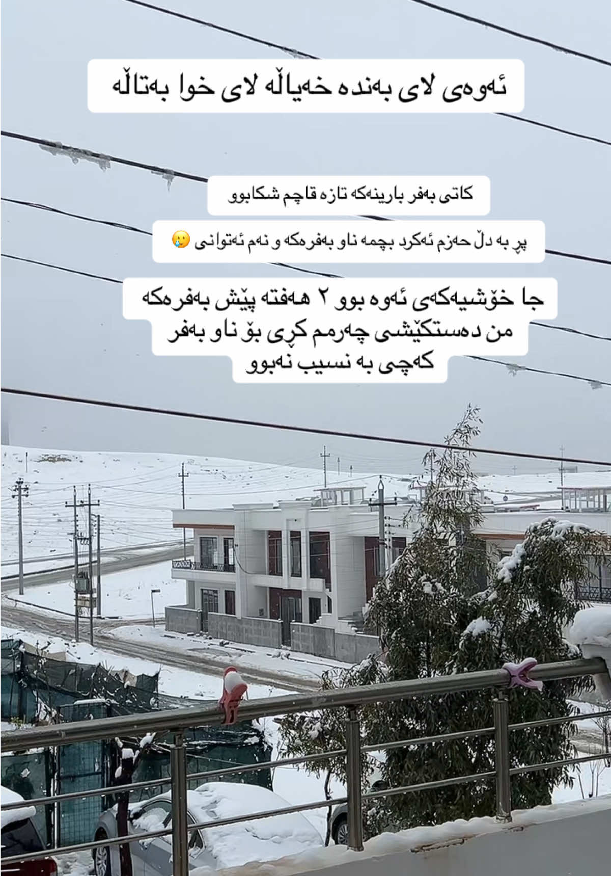 @shnyan
