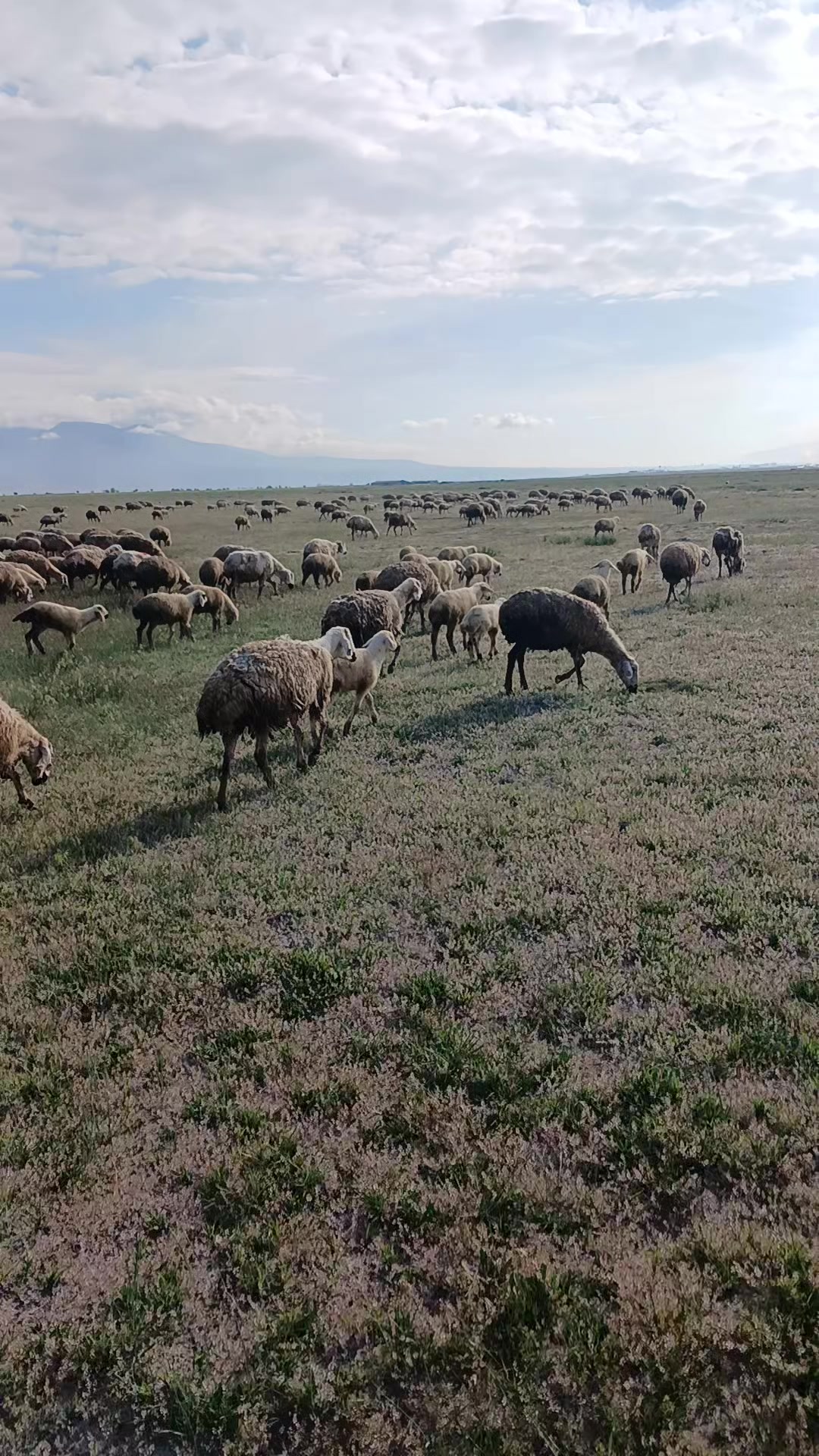 @Mustafa Doğan14667