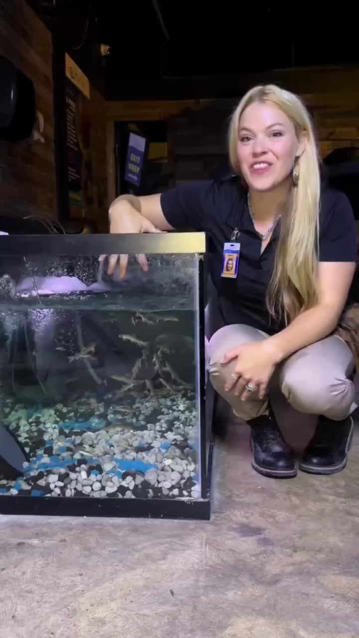 @San Antonio Aquarium