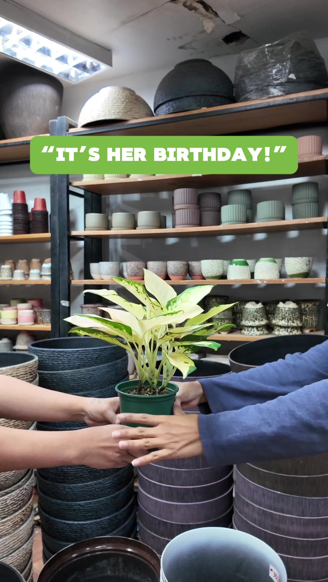 @PlantCulturePH