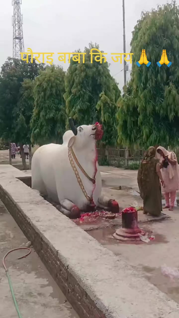 @Sawrose Thapa