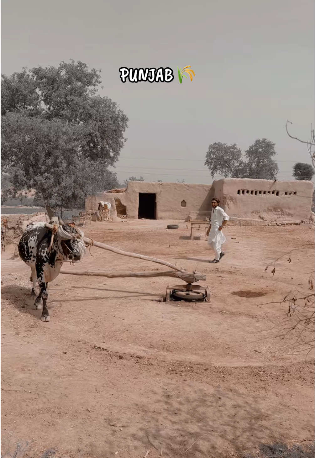 @🎵🔥SuNNa 🥷🏻 بیلے آلہ