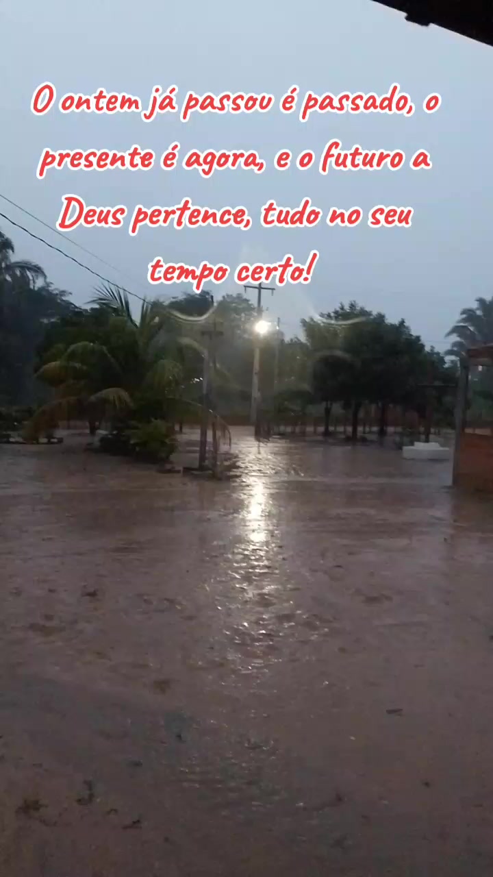 @Marlon Fortes