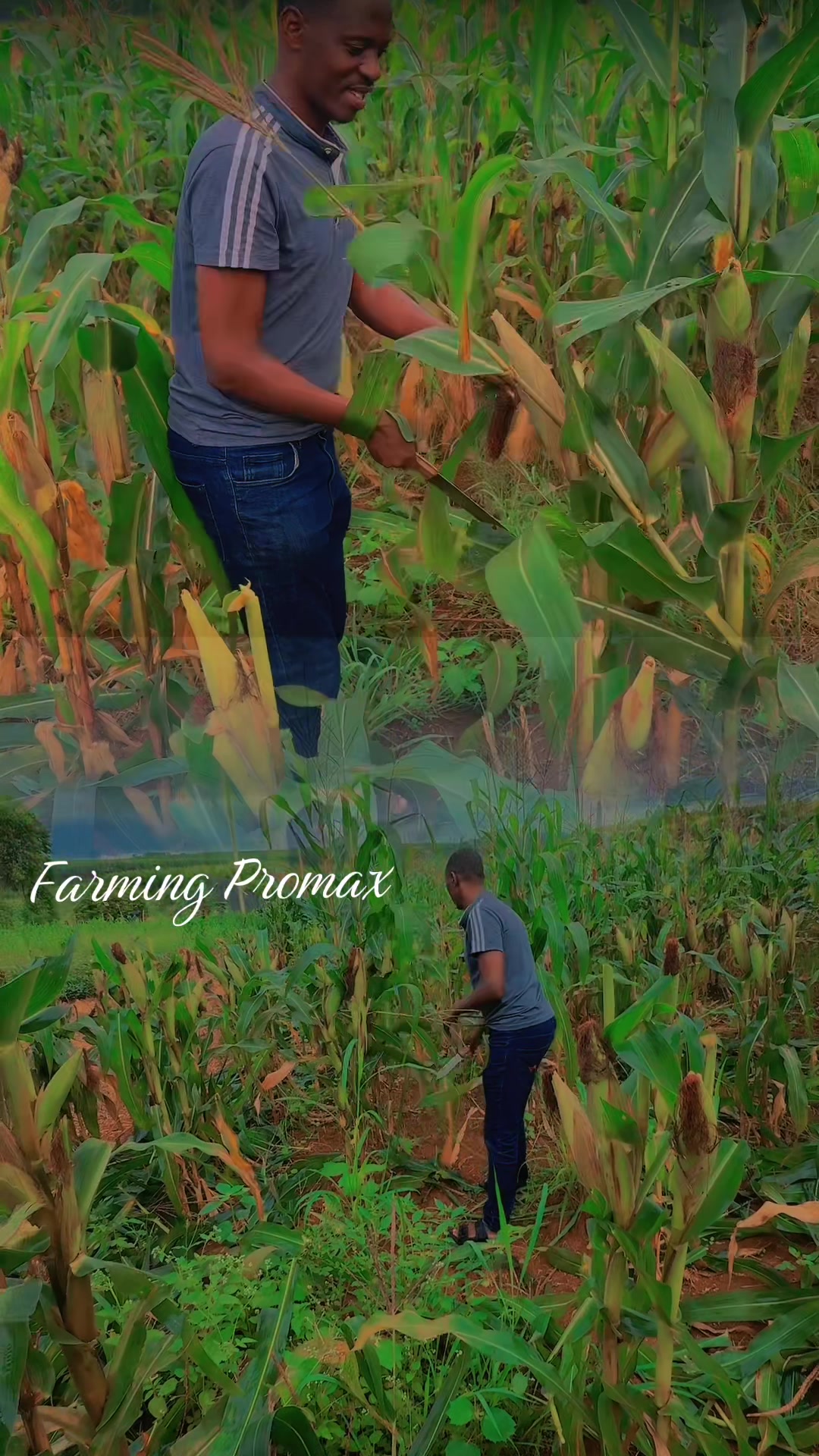 @Ssenyonga.Fred2