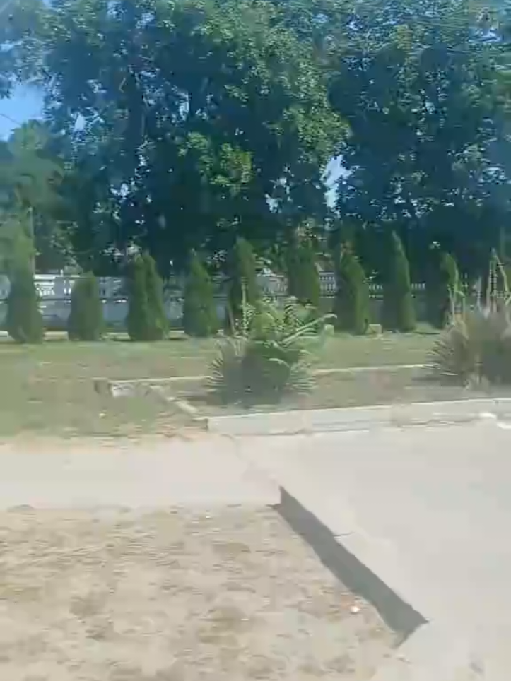 @Саша ( Метр )