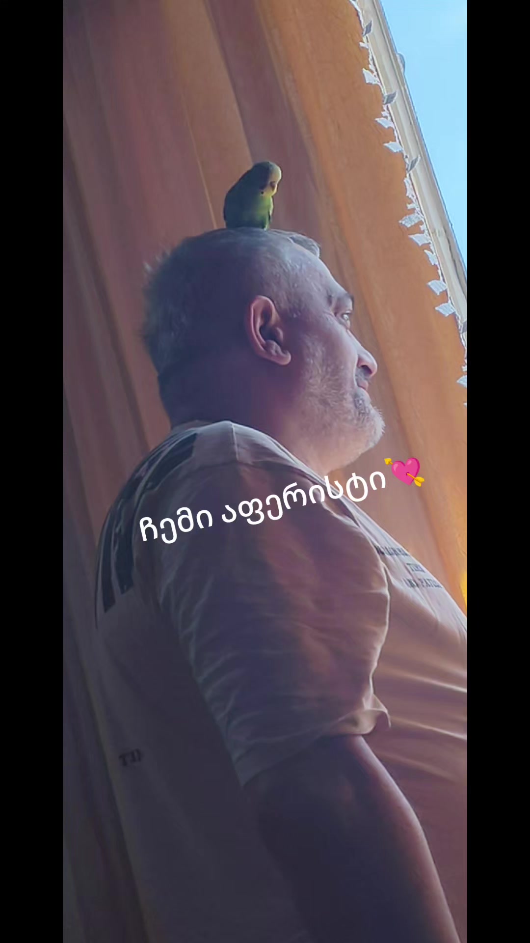 @🐞ნ10ა🐞