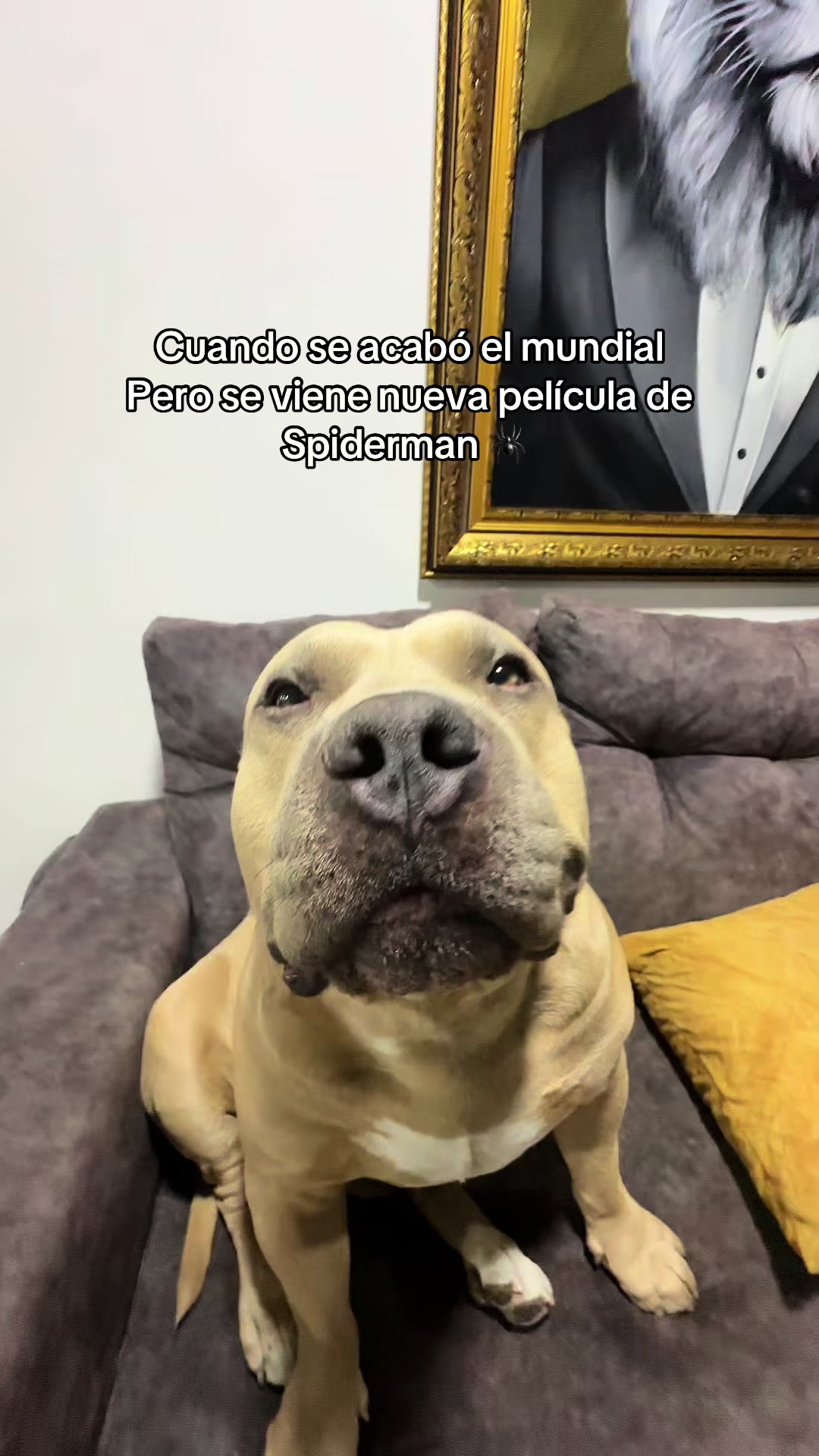 @Vikingo606