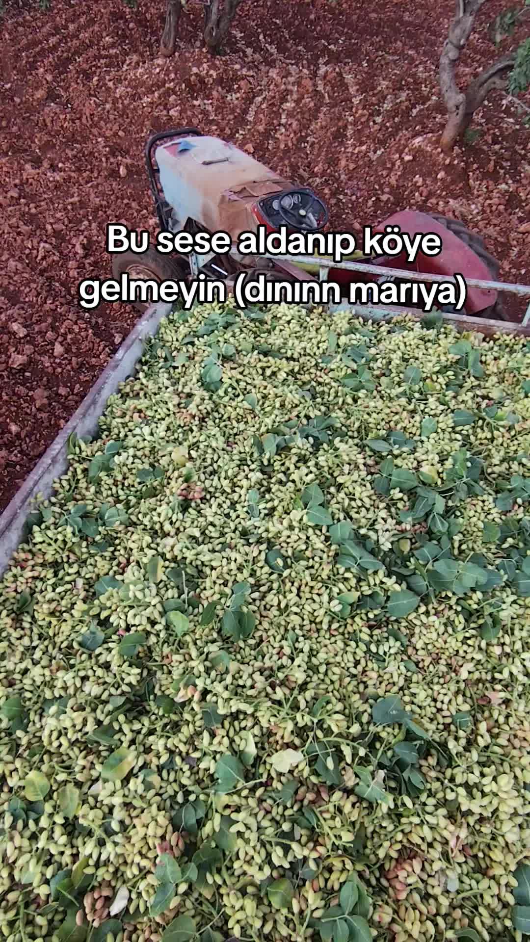 @🚜 &Ccedil;ift&ccedil;i Rotası 🌱