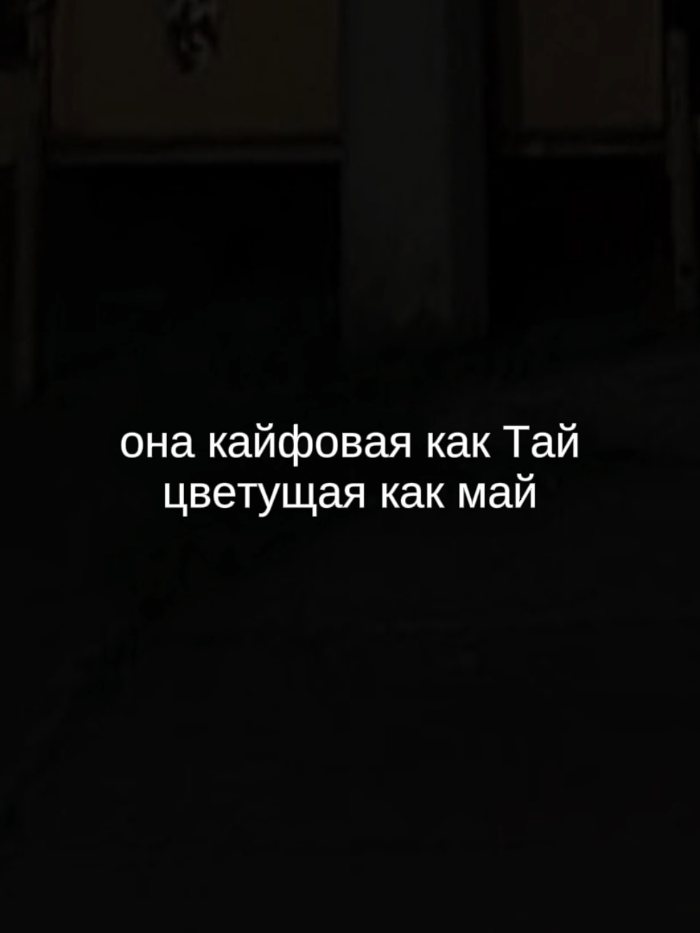@twinki song