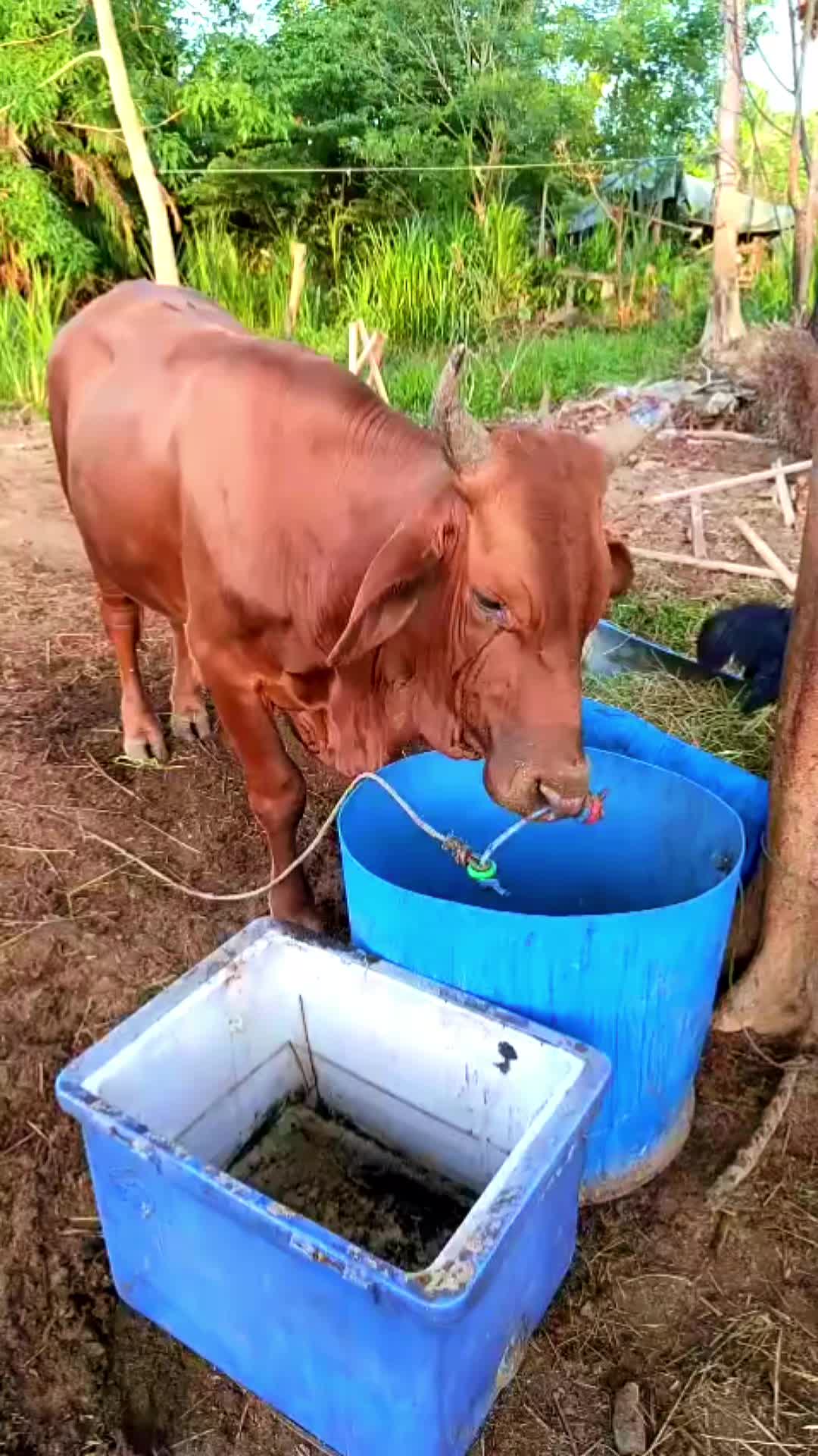 @๐ฎ๐๐ ๐บ๐ ๐พ๐๐ ๐น๐๐๐๐๐๐