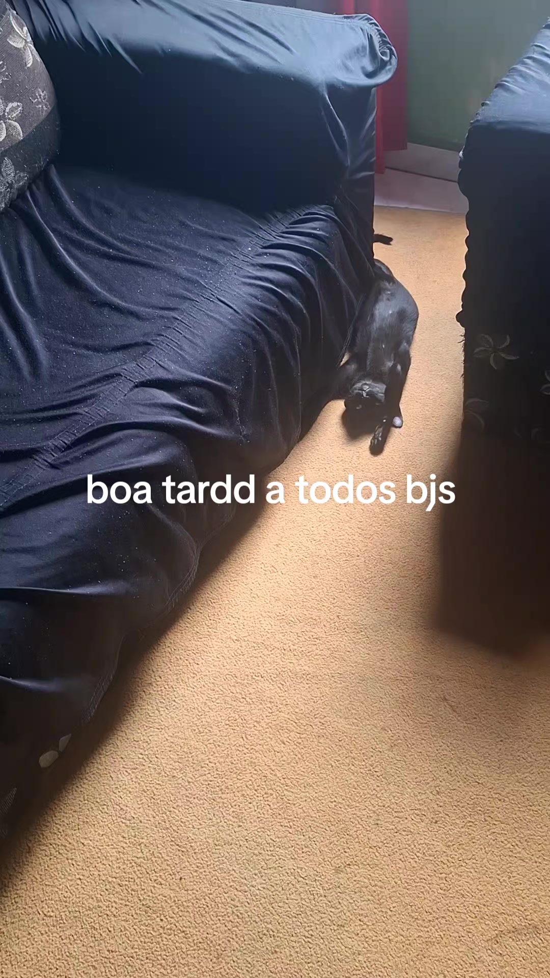 @Rosi