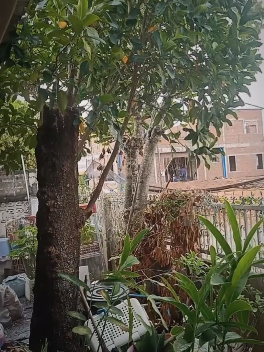 @เฮียชาติขายทุกอย่าง