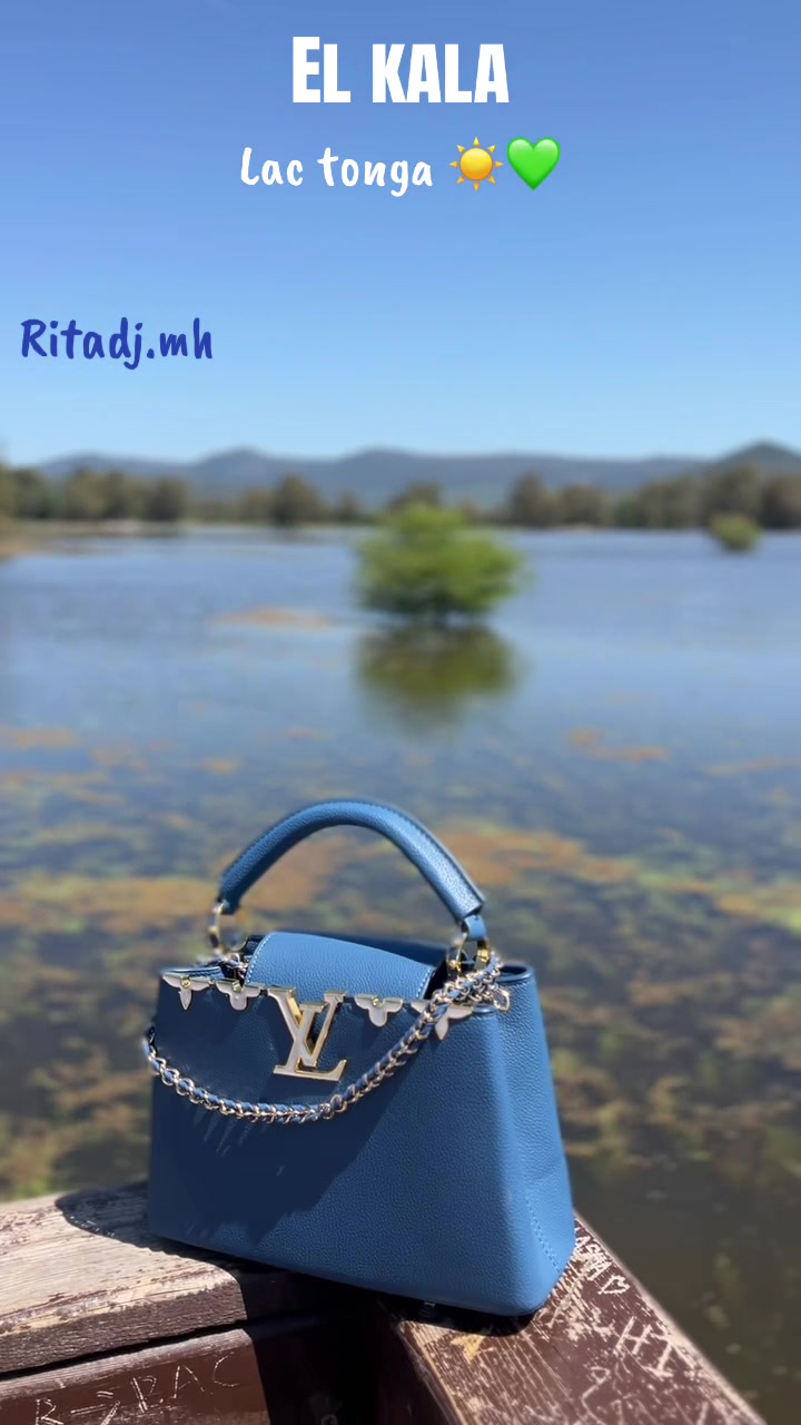 @ritadjmouhamdatni