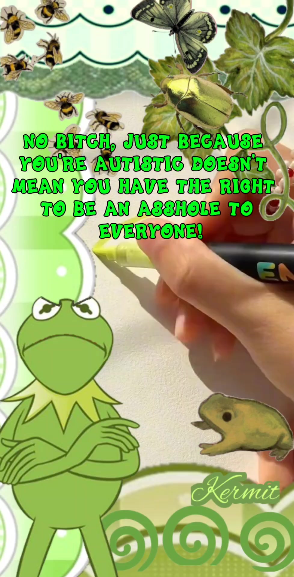 @kermit 🐸🪕