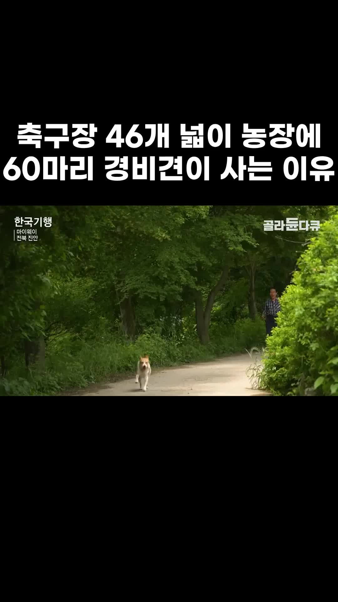 @EBS 다큐