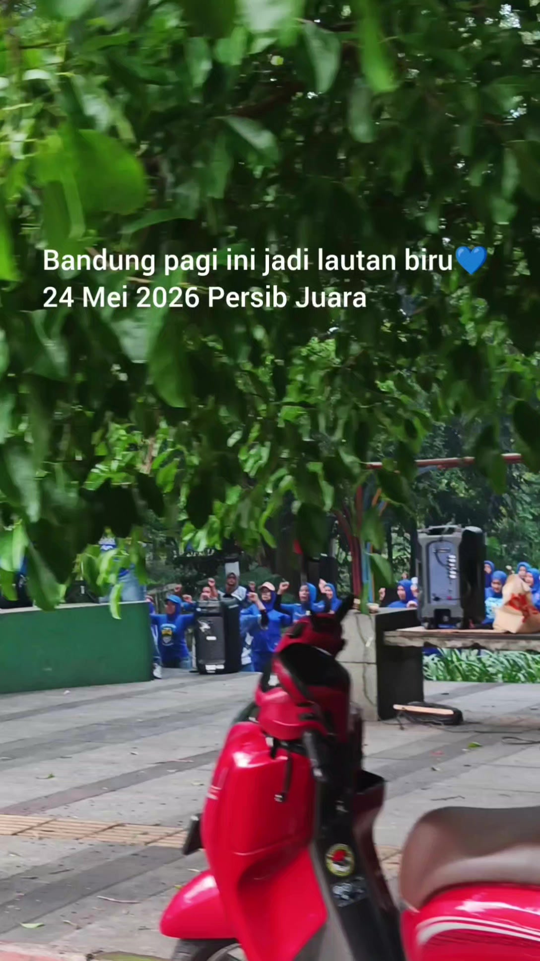 @RMOL TV