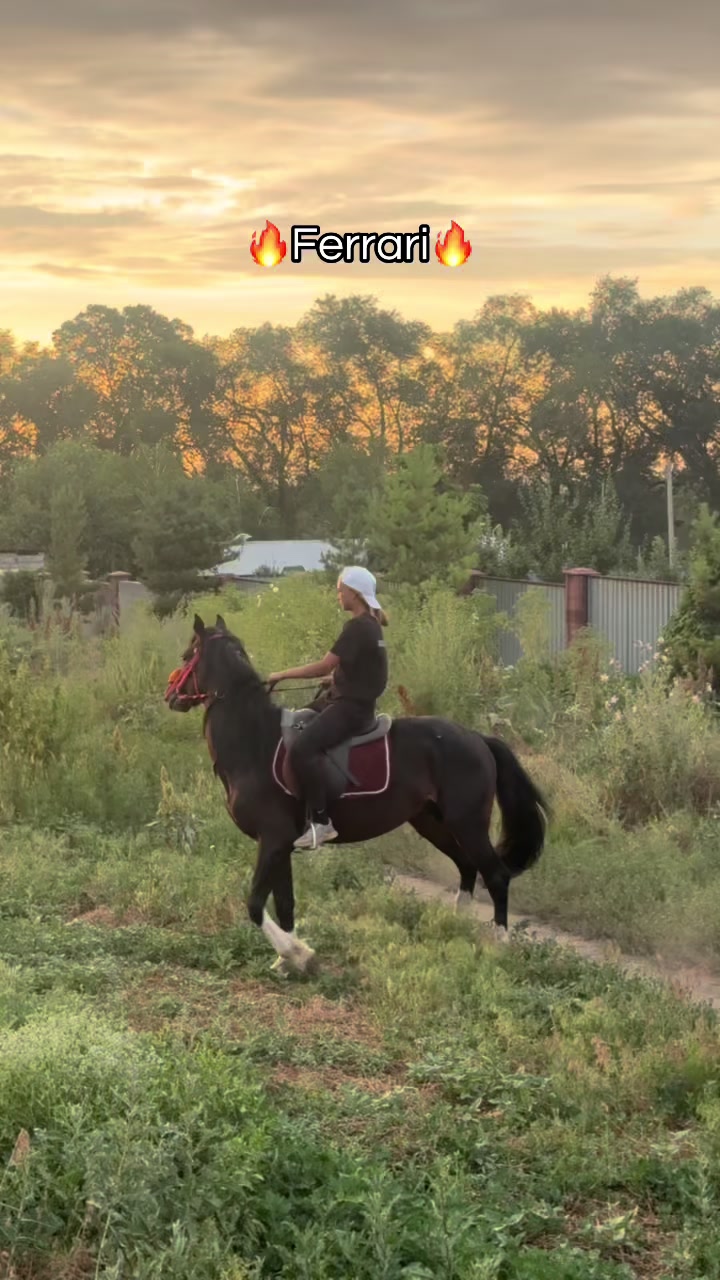 @🐎Ева🐎