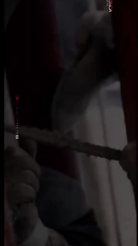 @brianmegamx