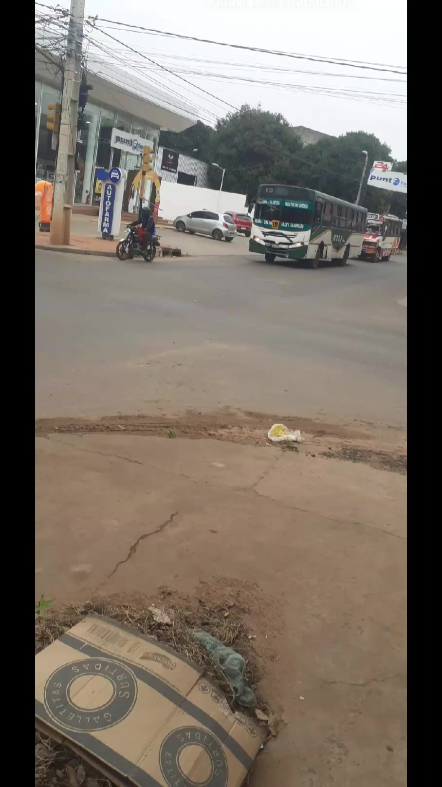 @💯PEDRITO BUSES 🔥 🇵🇾