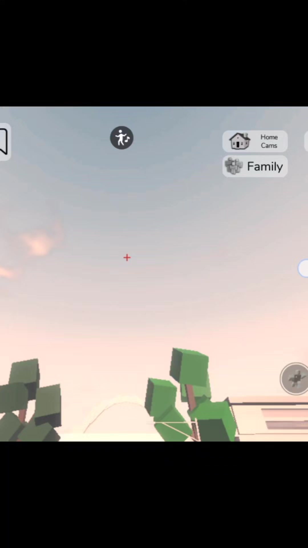 @Roblox_player