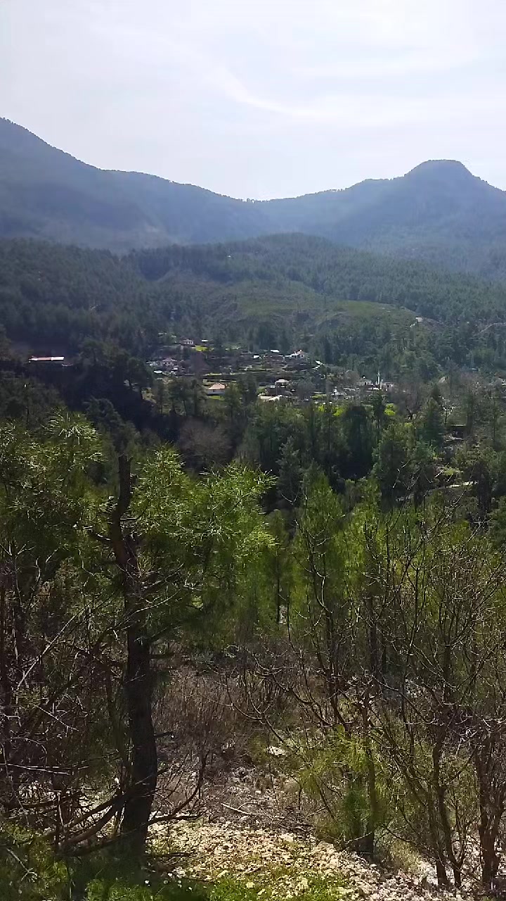 @Güler Kaya