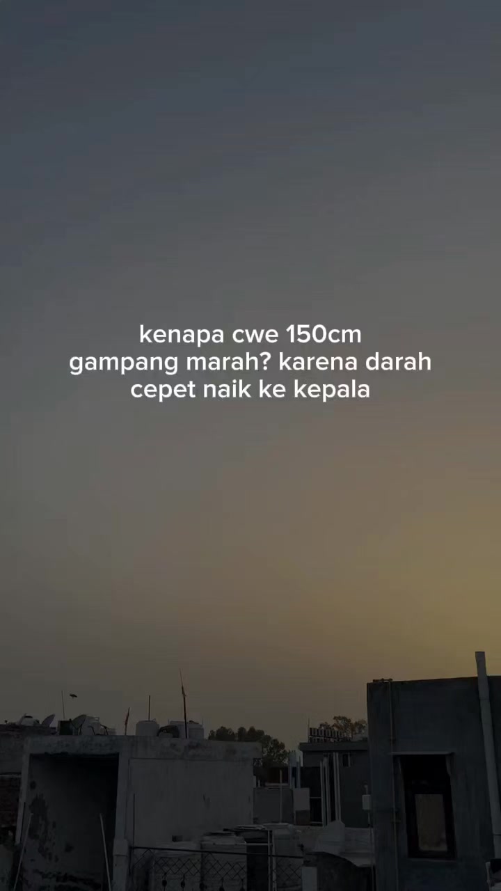 @๐ฃ๐ข๐๐๐จ๐๐จ๐ก๐