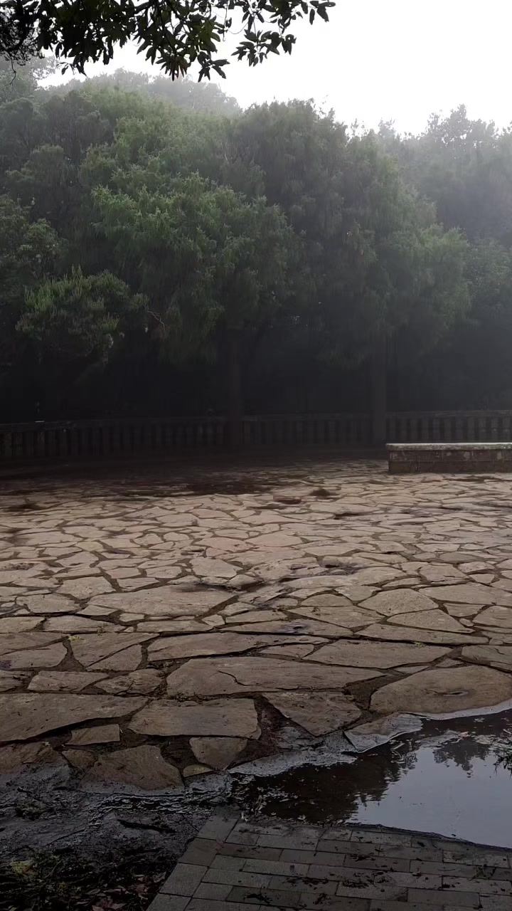 @doraoji