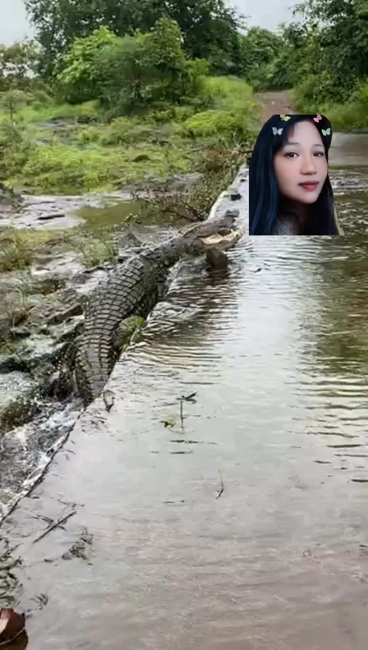 @sweetAngel👩
