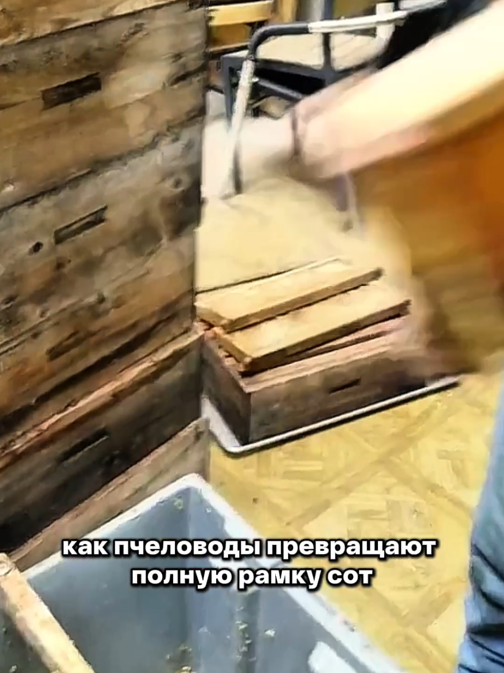 @Igor Ganea