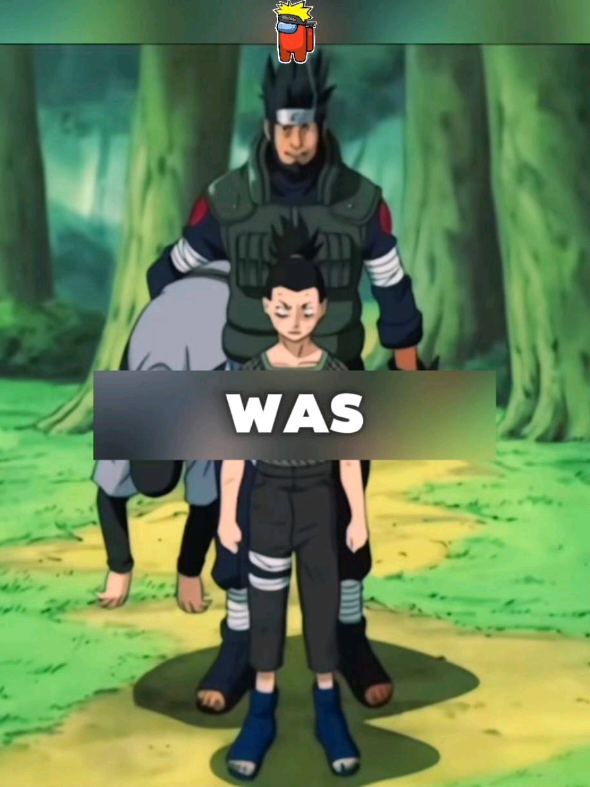 @Luffy Shinobi