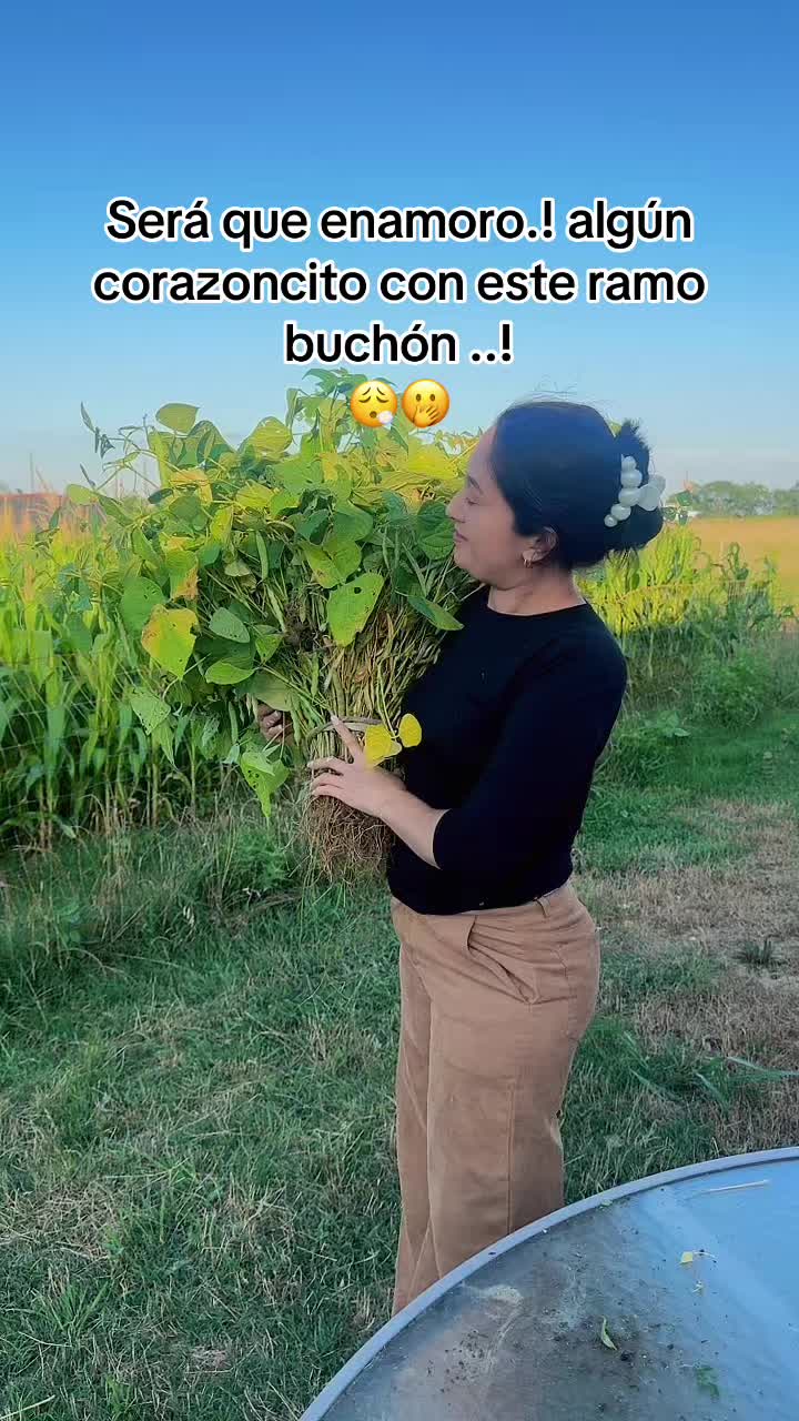 @lizeth Hern&aacute;ndez