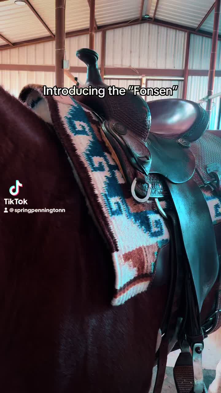 @5 Star Equine