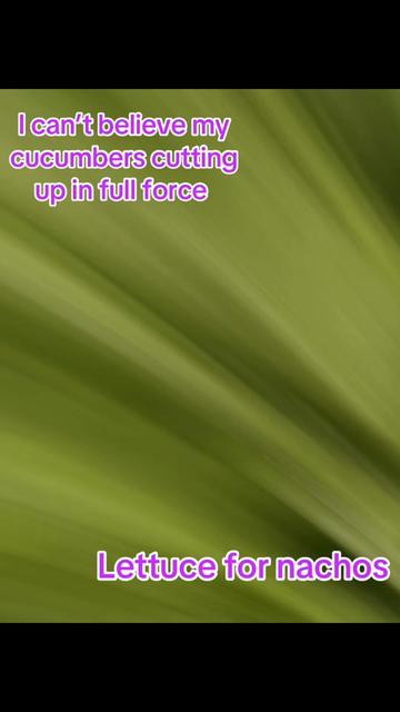 @Butterfly Gawdess Shop, LLC.