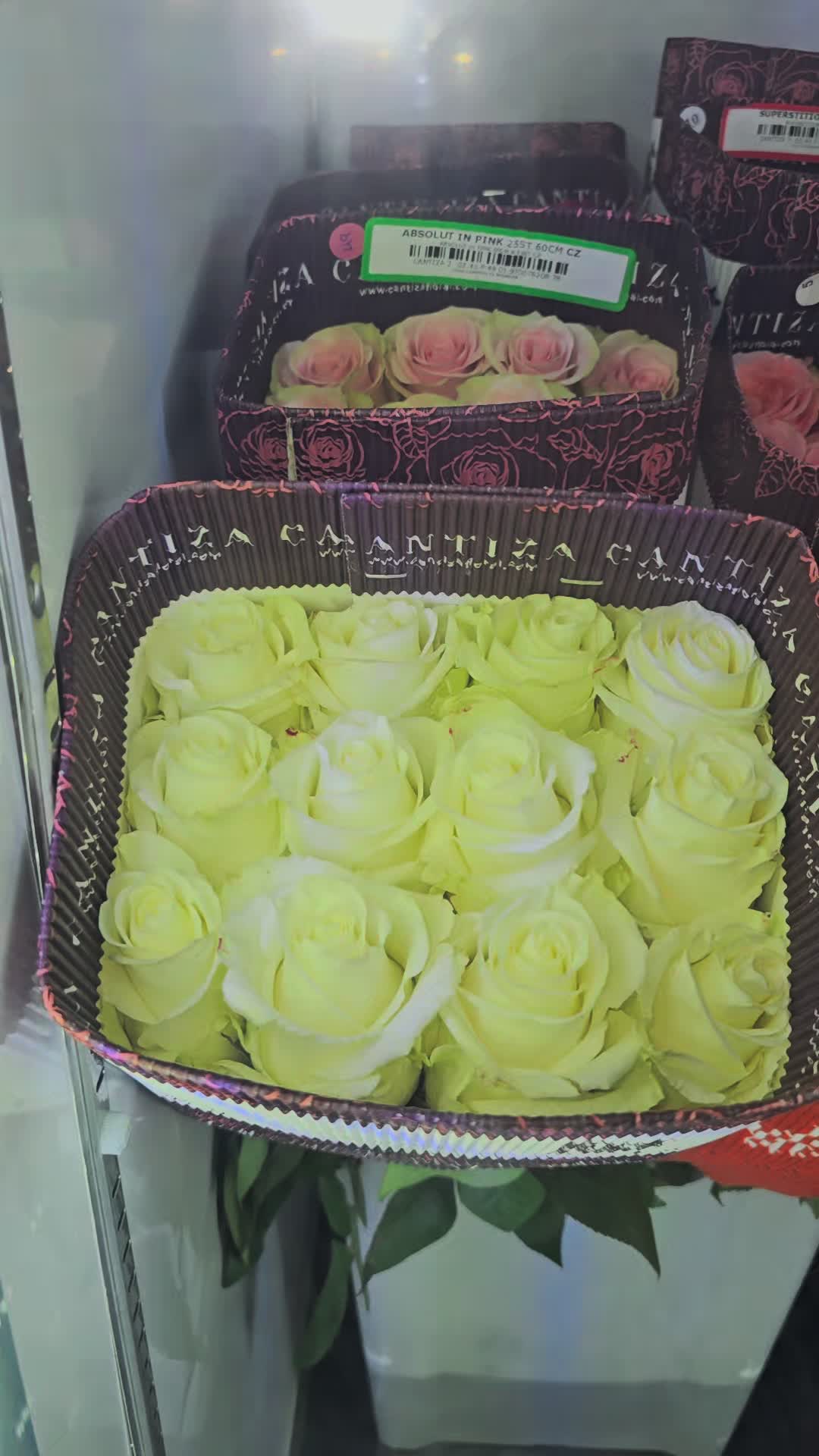 @Gift Shop Yuliana ๐บ๐ฒ๐จ๐ด