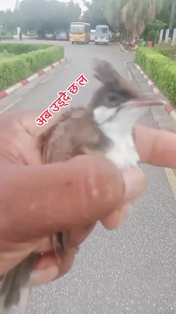 @1619 प्रेम खड्का1619