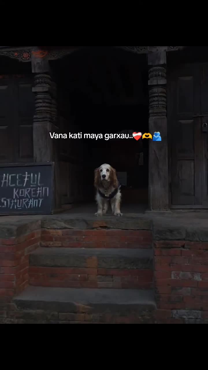 @Ajit Shahi🫶🫂