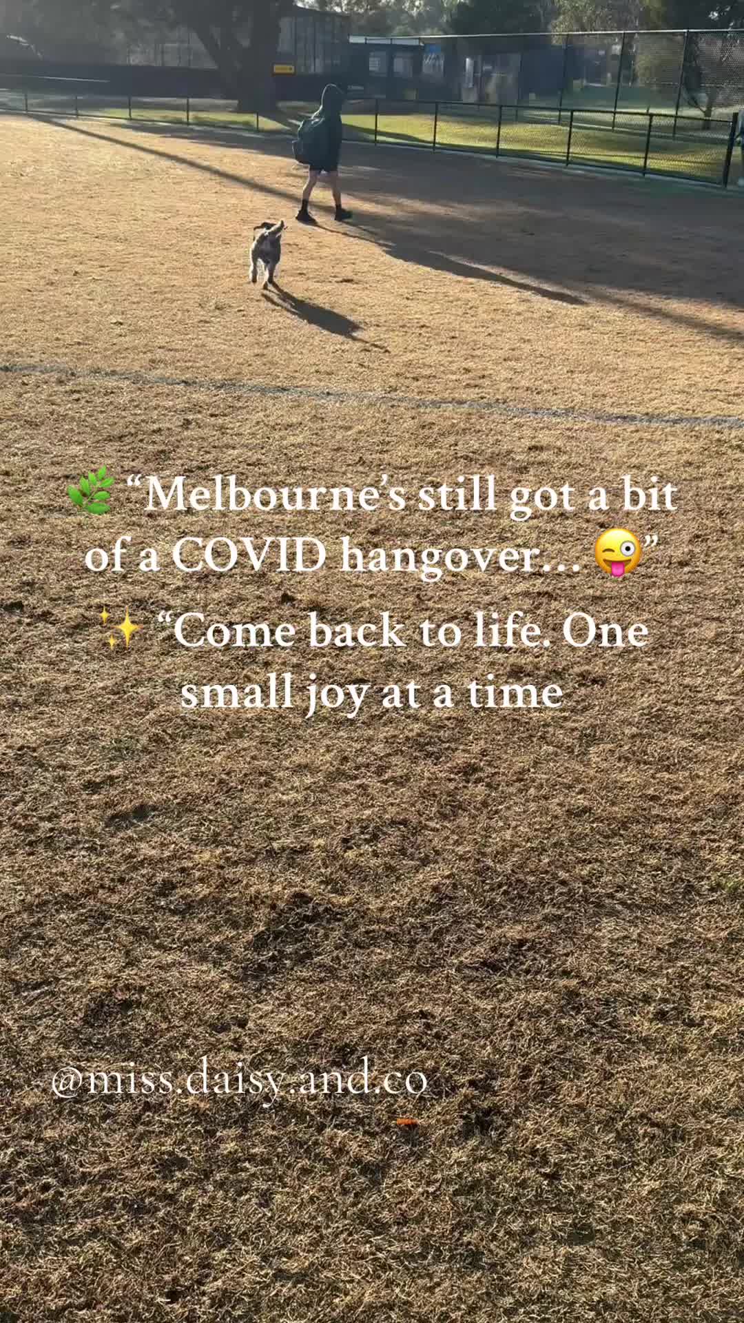 @missdaisyandco