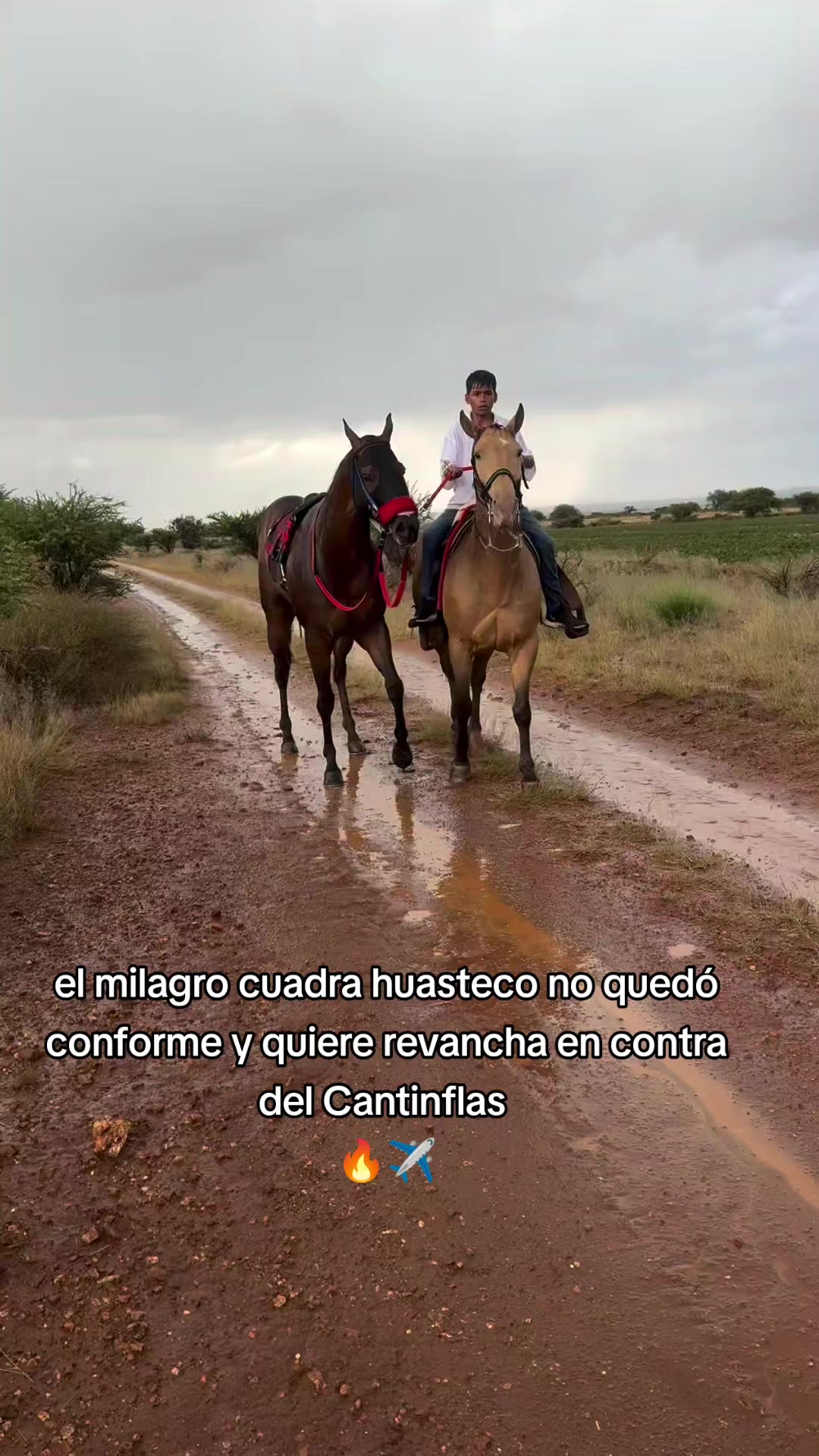 @carriles altos de jalisco🐎