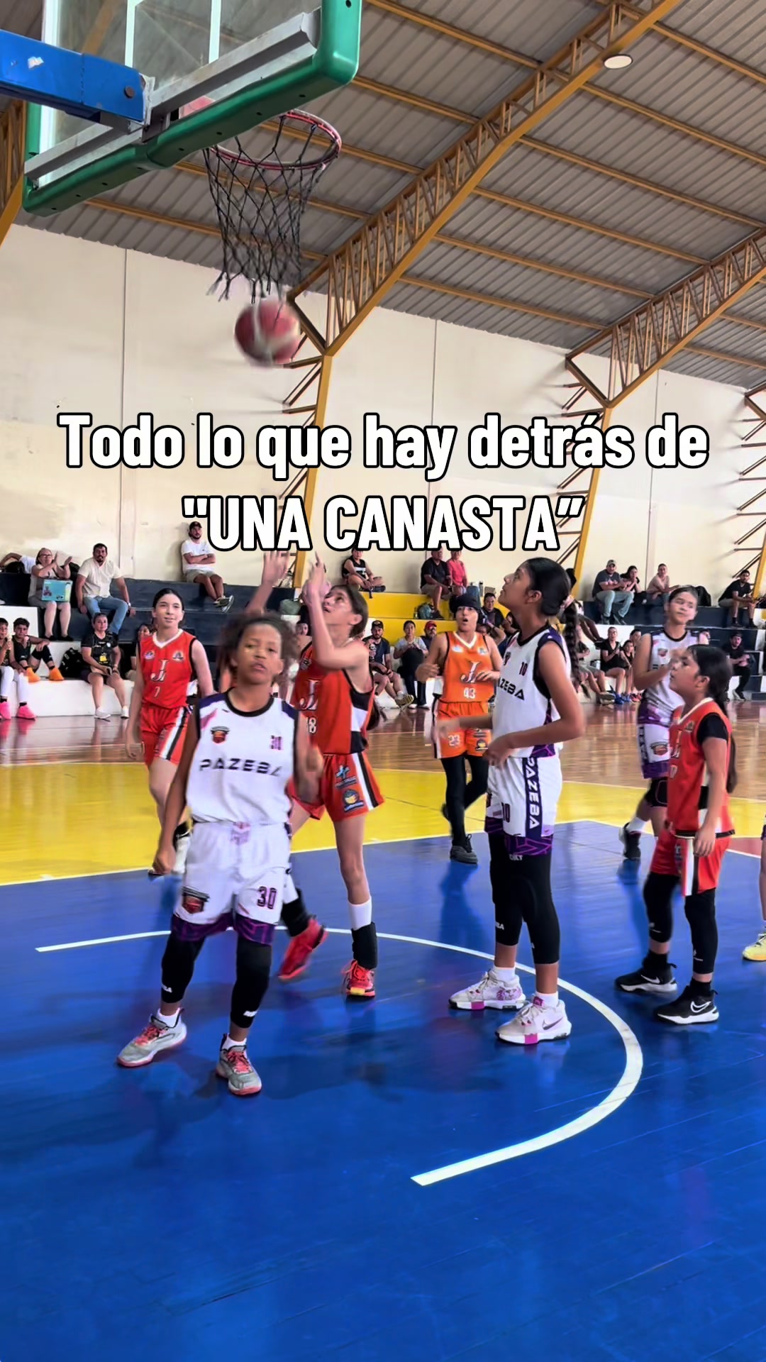 @PAZEBA🏀