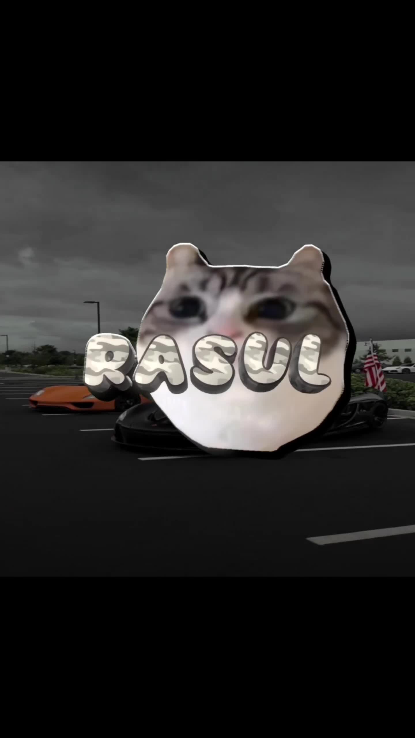 @𝐑𝐀𝐒𝐔𝐋𝟒𝐈𝐊👾
