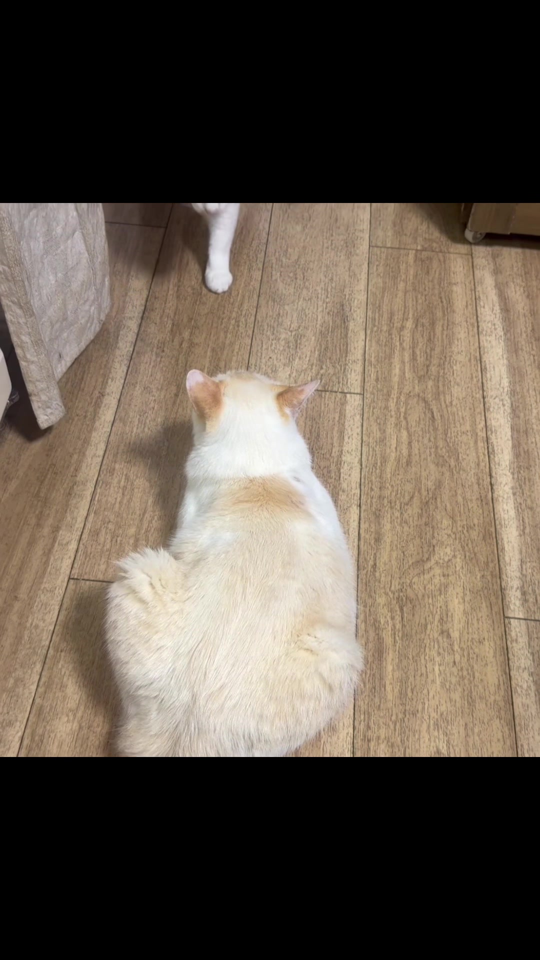 @てるぼー