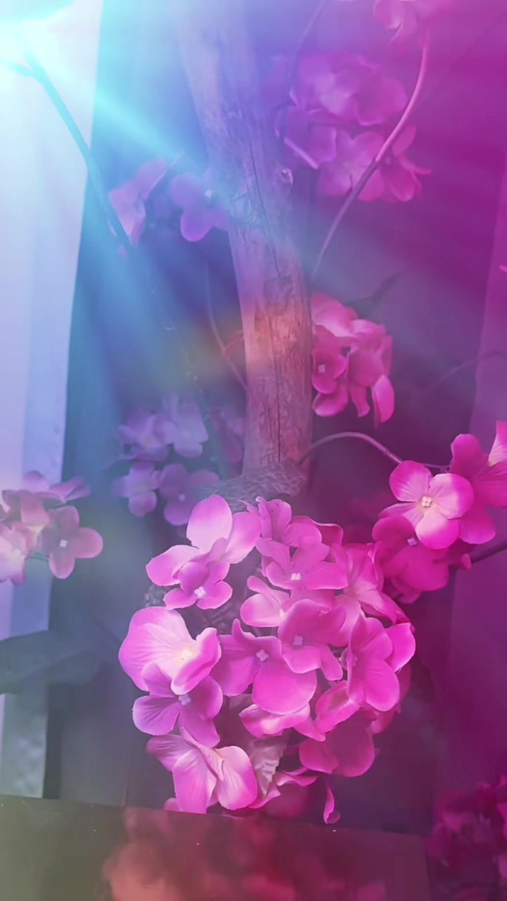 @786ami786